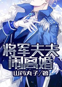 《将军夫夫闹离婚》