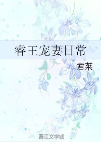 睿王寵妻日常