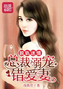 脱軌迷情:總裁溺寵錯愛妻