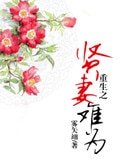 重生之賢妻難為