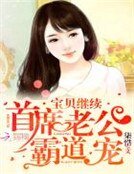 《首席老公霸道宠:宝贝,继续》