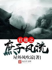 《(红楼同人)红楼之庶子风流》