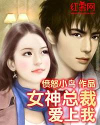 《同居情缘:我与女神总裁合租》