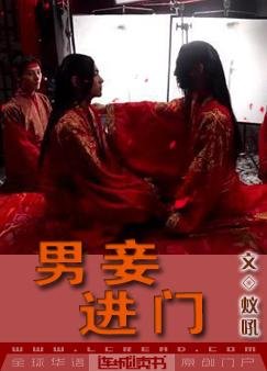 《男妾进门》