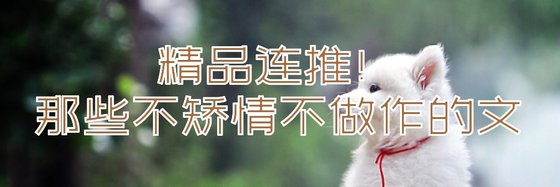 精品連推！那些不矯情不做作的文