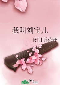 《我叫刘宝儿》