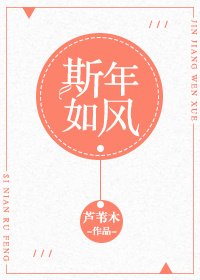 《斯年如风》