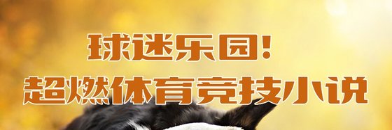 球迷樂園！超燃體育競技小説