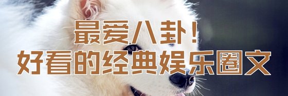 76部好看的高分作品: 現言、現代、現代言情