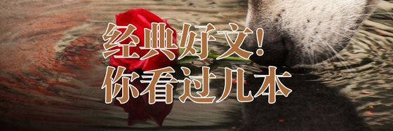 經典好文！你看過幾本