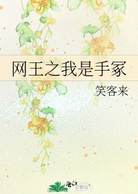 《网王之我是手冢》