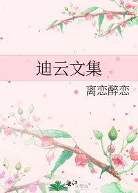《迪云文集》