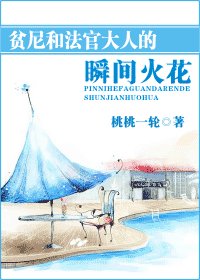 《瞬间火花/贫尼和法官大人的瞬间火花》