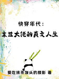 快穿年代:末世大佬的爽文人生