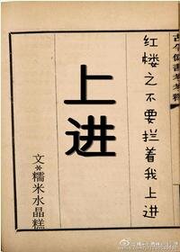 《(BG/宏楼同人)宏楼之不要拦着我上谨》
